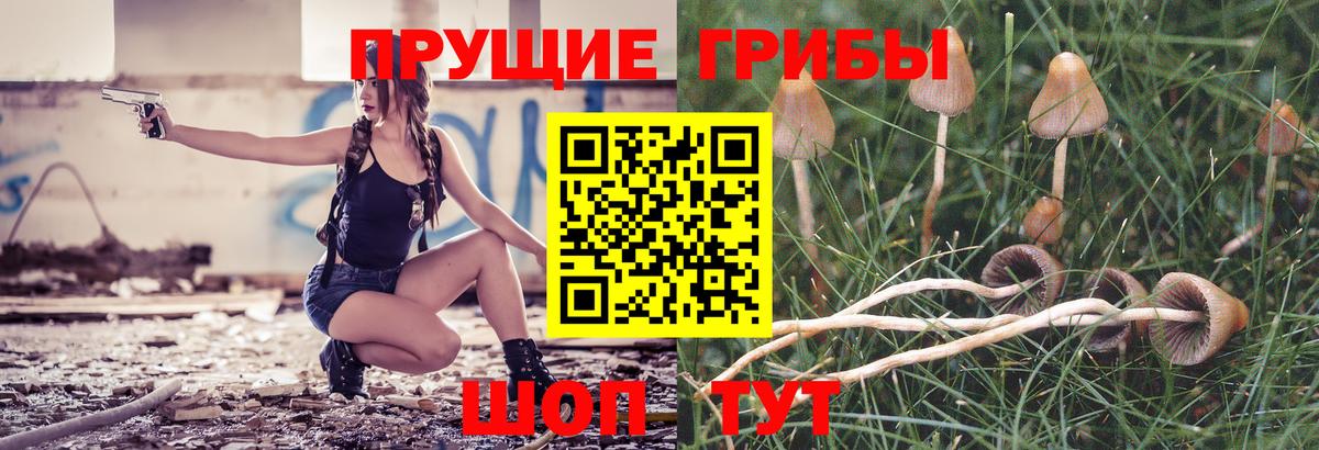 Псилоцибиновые грибы Cubensis  Вход с VPN  Туапсе  Псилоцибиновые грибы прущие грибы 